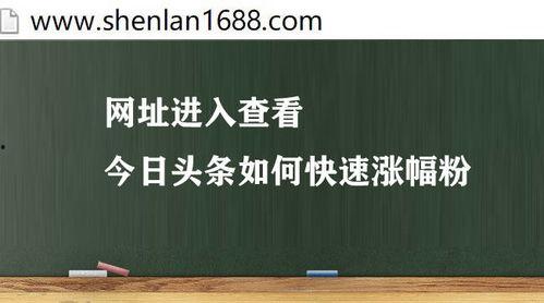 怎样在头条取得粉丝,轻松吸引海量关注