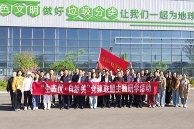 东营马店镇新闻头条,聚焦乡村振兴新篇章