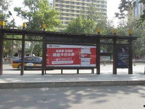 洛阳头条企业,聚焦本土创新力量，共筑产业新篇章