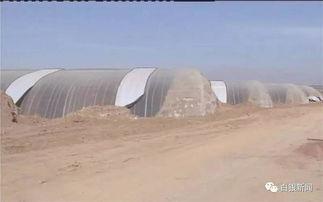 甘肃平川水泉镇新闻头条